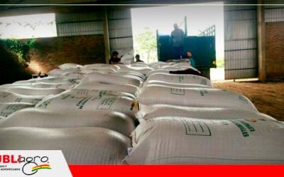La administración del gobierno transitorio dejó pérdida de Bs 3 millones en semillas